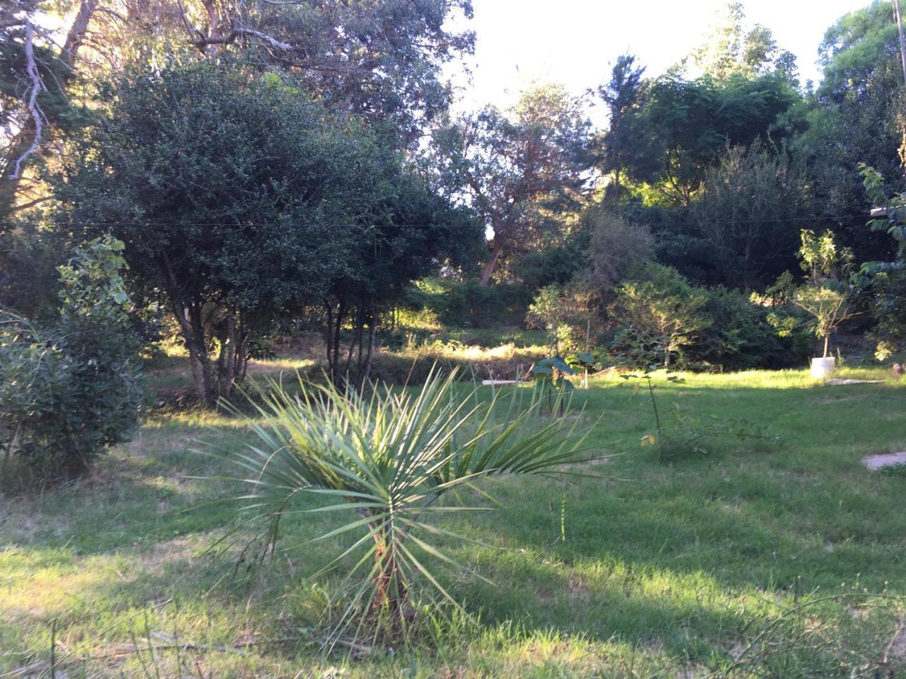 La Cabana San Luis Bagian luar foto